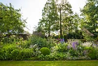 Summer border includes Salvia x sylvestris 'Dear Anja', Delphinium Belladonna-Hybride 'Piccolo' , Rosa 'Rhapsody In Blue', Geranium riversleaianum 'Russel Prichard'. Sarina Meijer garden