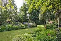 Summer border includes Salvia x sylvestris 'Dear Anja', Delphinium Belladonna-Hybride 'Piccolo', Rosa 'Rhapsody In Blue', Geranium riversleaianum 'Russel Prichard', Hakonechloa macra 'Aureola'. Sarina Meijer garden