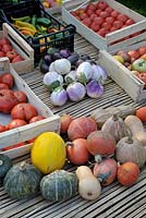 Squashes, Aubergines 'Violetti di Firenze' and Tomatoes freshly harvested