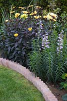 Sawtooth style brick edging containing a border of mixed Dahlias and Penstemon