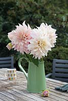 Dahlia 'Cafe au Lait' in green jug on a wooden patio table