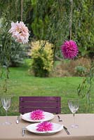 Cut flower heads of Dahlia 'Cafe au Lait' and Dahlia 'Orfeo' hanging in garden dining setting