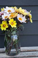 Display of Dahlia 'HS Party' and Dahlia 'HS Princess' in glass jar