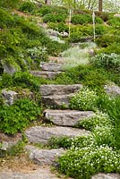 Natural stone steps bordered by white Asperula odorata - Woodruff flowers, Hemerocallis - Daylily and Geranium - Cranesbill plants in sloped backyard garden in spring
