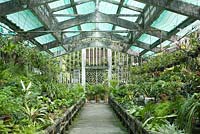 Ho Chi Minh City Vietnam Botanical Gardens. Orchid house.