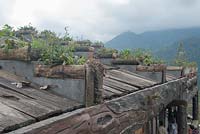 Rooftop flower pots built into the structure of a roof. Cat cat Sa Pa Vietnam Feature. 