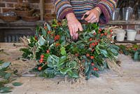 Adding Ilex aquifolium to the wreath