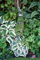 Mirrored ornament among Shade planting including Hostas 'Wide Brim' ,Dryopteris erythrosora  