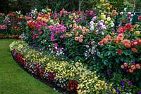Curved Lawn between beds of Dahlia flowers