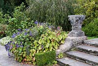 Steps and terrace in the Italian garden of Ilnacullin - Garinish Island. Glengarriff, West Cork, Ireland. August