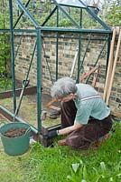 Man using small sledge hammer and block to bang 'plastic wood' post in, which will help secure the base of the greenhouse in place: April, Spring.