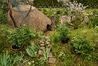Gardening Amidst Ruins: A Homage to Capability Brown - View of sunken area and thatched roof structure - RHS Malvern Spring Show 2016. Designer: Todd Longstaffe-Gowan Landscape Design, Sponsors: Wyevale Garden Centres in partnership with Historic Royal Palaces
