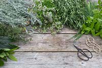 Bay, Curry Plant, Marjoram, Rosemary, Chives and Mint on wooden surface