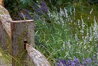 The Lavender Garden. Lavender by fence made from wood with its bark still intact. Designers: Paula Napper, Sara Warren and Donna King. Sponsor: Shropshire Lavender. 