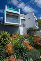 A modern glass and concrete house with an in-built swimming pool seen in an Australian beach-side suburb on a steep sloping site. Garden is planted with a selection of colourful and drought-tolerant succulents and bromeliads. 