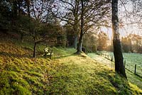 Rising sun illuminates a path to the woodland garden.