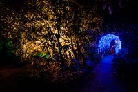 Bridge covered with a net of blue lights at Abbotsbury Subtropical Gardens in October