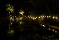 The lily ponds surrounded by white lights and cordylines reflected in the water at Abbotsbury Subtropical Gardens in October