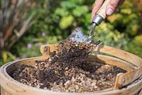 Combine grit and compost to create the potting mix