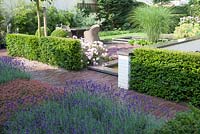 Squares planted with Lavandula angustifolia and Acaena. Taxus baccata hedges and a terrace at the back.