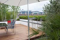 Roof garden terrace with view on the city. Rotterdam, Holland. Betula utilis 'doorenbos' in containers and outdoor furniture. 