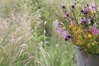 Galvanized bucket of Meadow grass, Centaurea nigra, Hypericum perforatum, Malva arborea and Lotus corniculatus