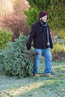 A man dragging a Christmas tree across a frosty lawn