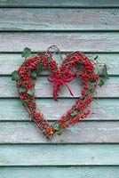A wreath made from Ivy and Ilex aquifolium hanging on a shed wall