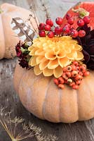 Autumn floral arrangement in Squash 'Autumn Crown' with  berries, dahlias, feather and seedhead