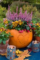 Pumpkin planted with erica, Voila 'Honeybee' and Gaultheria procumbens with tealights