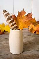 Autumn Maple leaf with feather in pottery vase