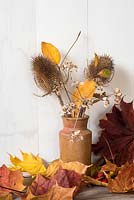 Autumn flower arrangement with leaves and seedheads inc teasels