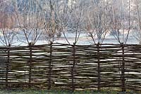Woven willow fence in winter frost.