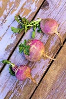 Harvested turnips on wooden surface 