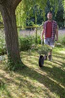 Man pushing a wheelbarrow of weeds beneath a Willow tree