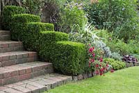 Stepped geometric topiary of Buxus sempervirens leading down brick steps