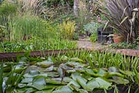 Rusted metal bridge crossing the pond to a seating area. Featuring Equisetum japonicum, Water Lillies and Phormium