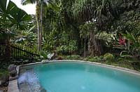 Swimming pool with paved edging in a tropical garden with colourful foliage 