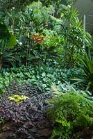 Layered planting of ground covers and a screen of taller plants, featuring Tradescantia zebrina, and Adiantum species, Maiden hair fern.