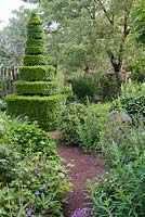 Summer borders with a yew topiary. Frank Thuyls garden.