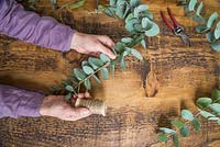 Using string to secure Eucalyptus to a wire coat hanger