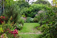 Wide view of a garden showing curved garden beds, a soft leaf buffalo lawn and a variety of flowering and colourful herbaceous plants and perennials. .