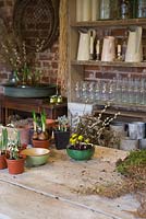 Plants required for planting up small Winter arrangements. Featuring Iris 'Katharine Hodgkin', Galanthus elwesii, Hyacinth 'Woodstock', Narcissus 'Erlicheer' and Eranthis hyemalis