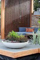 A round white bowl on a timber deck features plantings of Euphorbia 'Blackbird' and helichrysum