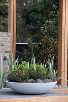 A round white bowl on a timber deck planted with Euphorbia 'Blackbird' and Helichrysum