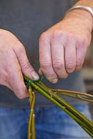 Use floral wire to tie the Willow stems together