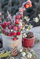 Glass jar with frosted Crab apples, Snowberries and Hawthorn berries