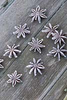 Frosted Star anise seeds on wooden surface