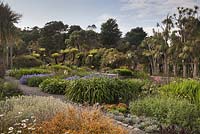 Plantings of Tree Ferns and flowering perennials around the formal pond - July, Logan Botanic Garden, Dumfries and Galloway, Scotland