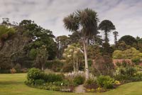 An island bed focussing on southern hemisphere exotics - July, Logan Botanic Garden, Dumfries and Galloway, Scotland